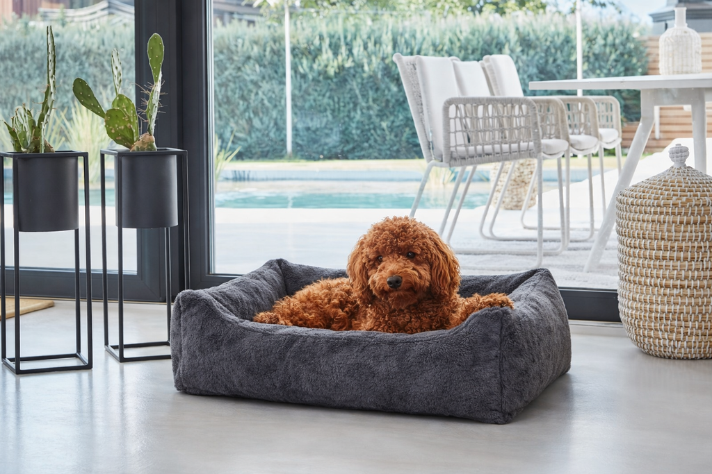GoldenPaw™ CalmNest – Premium Orthopädisches Hundebett