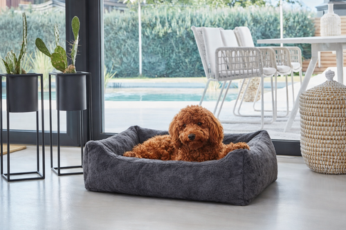 GoldenPaw™ CalmNest — Cama Ortopédica Premium