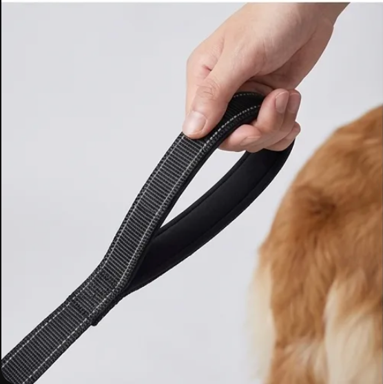 WALK Control Leash™