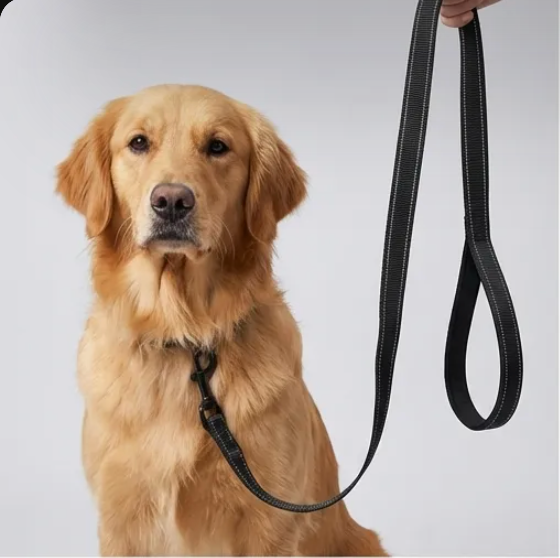 WALK Control Leash™