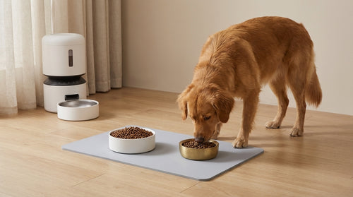 GoldenPaw™ CleanBowl — Tapete de Alimentação