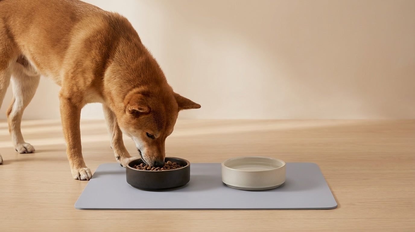 GoldenPaw™ CleanBowl — Tapete de Alimentação
