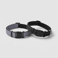 WALK Essential Halsband™
