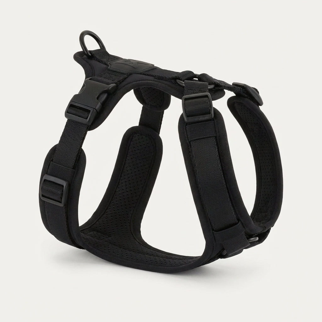 WALK Core Harness™